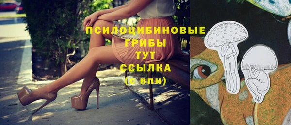 прущая мука Лиски
