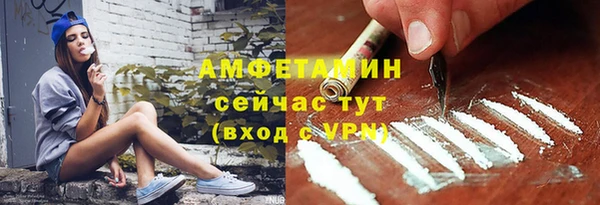гидра Ладушкин