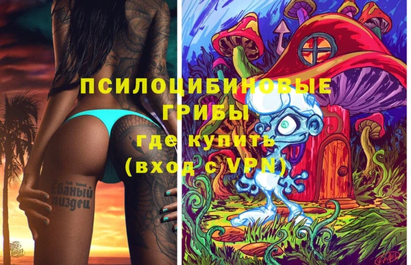 гидра Ладушкин